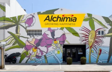 Alchimia Grow Shop